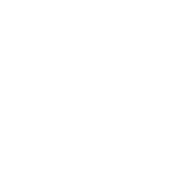 Fit Freak